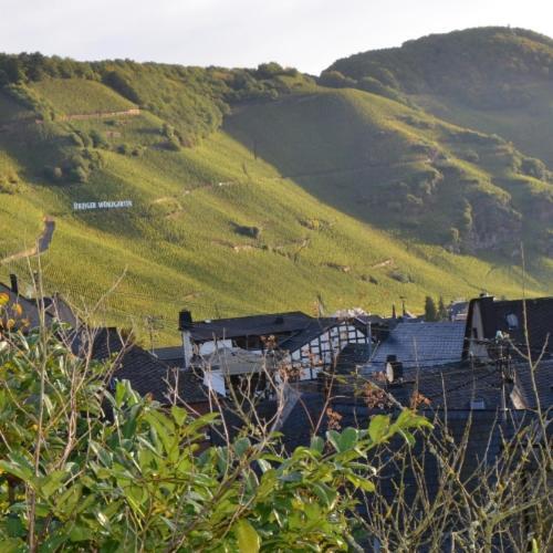 Отель Weingut Erbes-Henn Ирциг Экстерьер фото